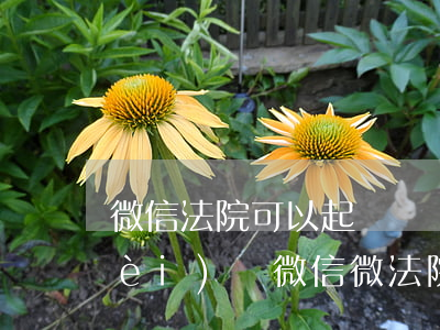 微信法院可以起訴撫養(yǎng)費(fèi)嗎(微信微法院怎么立案)