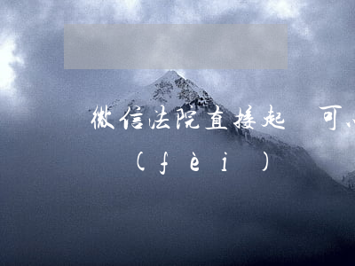 微信法院直接起訴可以維權(quán)退費(fèi)嗎