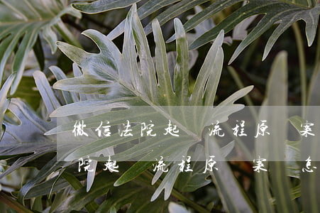 微信法院起訴流程原審案號怎么寫-微信法院起訴流程原審案號怎么寫的