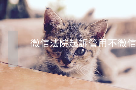 微信法院起訴管用不(微信法院怎么立案)