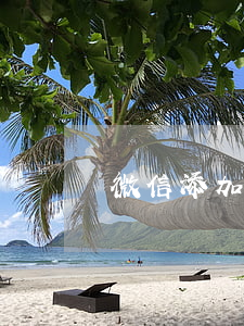 微信添加逾期怎么加回来(微享加逾期加微信)