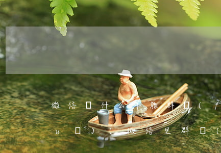 微信為什么不能群發(fā)法律法規(guī)(微信里群發(fā)助手顯示根據(jù)相關(guān)法律法規(guī)和政策,你的消息未能發(fā)送怎么)