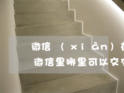微信現(xiàn)在可以處理交通違法嗎(微信里哪里可以交交通違法處理)