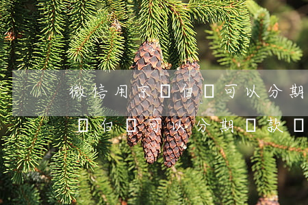 微信用京東白條可以分期還款嗎-微信用京東白條可以分期還款嗎安全嗎