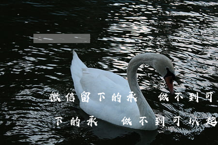 微信留下的承諾做不到可以起訴嗎-微信留下的承諾做不到可以起訴嗎怎么辦