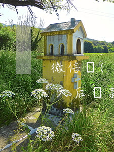微信當(dāng)天還款顯示逾期(逾期一天后還款,上征信嗎)