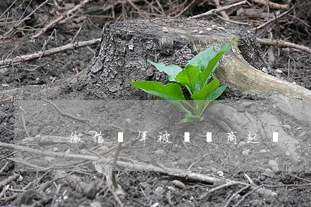 微信當年被運營商起訴