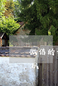 微信的分付逾期可以開嗎(微信的分付逾期可以開嗎)