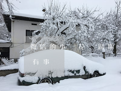 微信的小鵝花錢逾期一天(小鵝花錢逾期1天有事嗎)