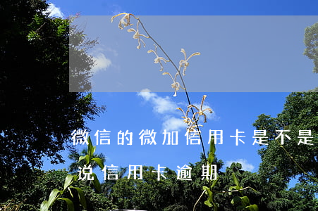 微信的微加信用卡是不是都是秒拒（微信加我说信用卡逾期）