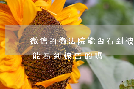 微信的微法院能否看到被起訴沒有-微法院能看到被告的嗎