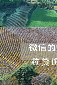 微信的微粒贷逾期,会暴力吹收吗-微信的微粒贷逾期,会暴力吹收吗是真的吗