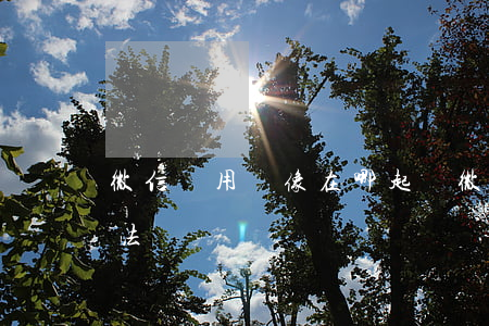 微信盜用頭像在哪起訴(微信頭像被盜處理方法)