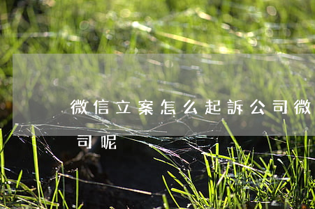 微信立案怎么起訴公司 微信立案怎么起訴公司呢