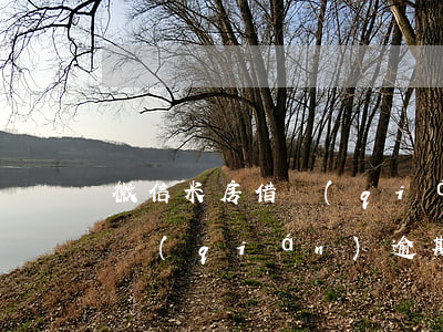 微信米房借錢(qián)逾期了-小米借錢(qián)逾期