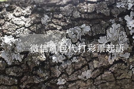 微信紅包代打彩票起訴