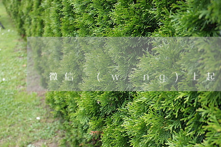 微信網(wǎng)上起訴什么時候交費