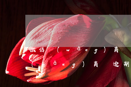 微信網(wǎng)商貸逾期多久會影響(網(wǎng)商貸逾期影響征信)