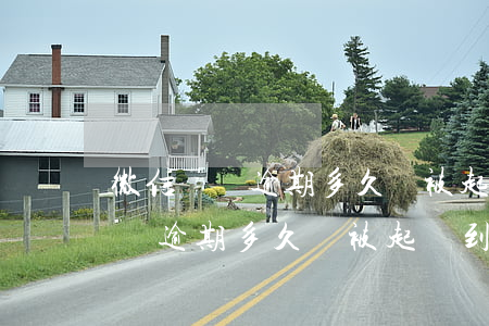 微信網貸逾期多久會被起訴到法院-微信網貸逾期多久會被起訴到法院呢