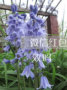 微信红包可以起诉吗(微信红包可以起诉吗有效吗)