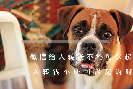 微信给人转钱不还可以起诉对方吗-微信给人转钱不还可以起诉对方吗安全吗
