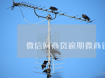 微信网商贷逾期(微商银行贷款逾期)