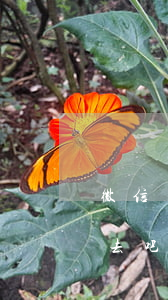 微信罵人可以起訴狀(微信里罵人可以立案嗎 去吧 立案去吧)