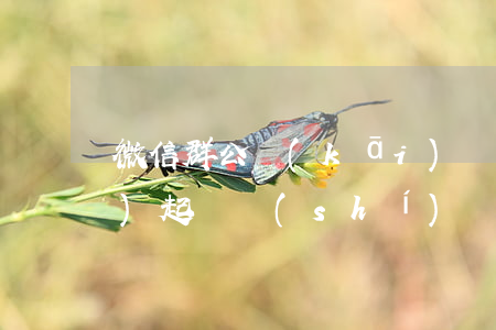微信群公開(kāi)詆毀他人名譽(yù)起訴時(shí)間-在微信群公開(kāi)詆毀他人犯法嗎?