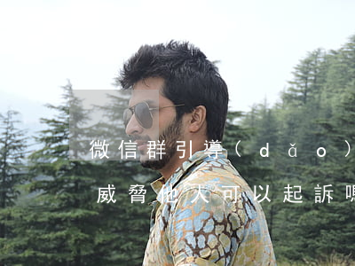 微信群引導(dǎo)圍攻起訴(在微信群中威脅他人,可以起訴嗎)