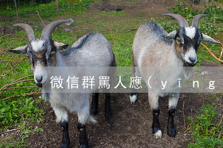 微信群罵人應(yīng)如何起訴