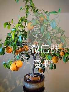 微信群罵人起訴法院(微信群罵人起訴法院會受理嗎)