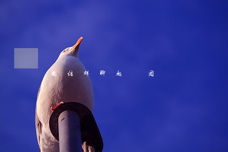 微信群聊起訴困難嗎