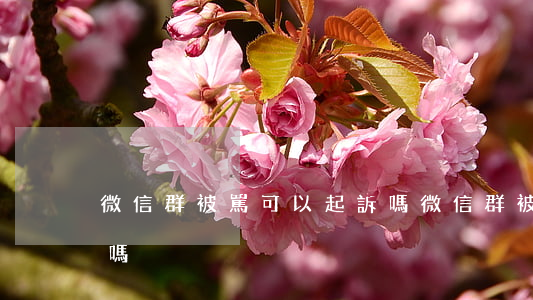 微信群被罵可以起訴嗎(微信群被罵可以起訴嗎)