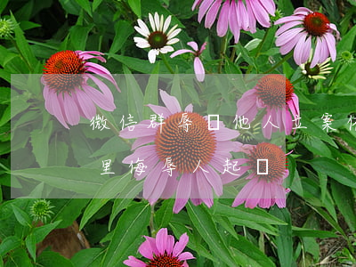 微信群辱罵他人立案依據(jù)（在微信群里侮辱人起訴）