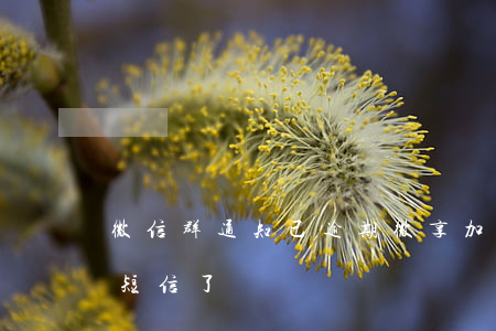 微信群通知已逾期 微享加逾期群發(fā)短信了