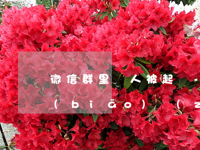 微信群里罵人被起訴-微信群里罵人立案標(biāo)準(zhǔn),有案底嗎