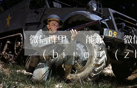 微信群里誹謗能起訴嗎(微信群里誹謗罪立案標(biāo)準(zhǔn))