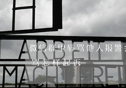 微信群里辱骂他人报警会处理吗（微信群被辱骂怎样起诉）