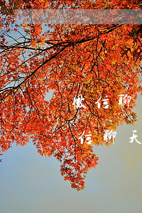 微信聊天在法院可以出示證據(jù)嗎(微信聊天能作為法律證據(jù)嗎)