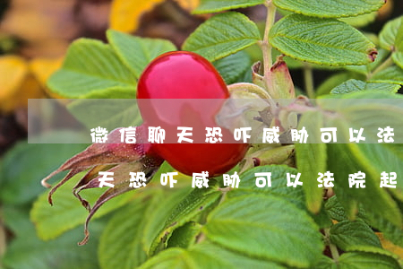 微信聊天恐吓威胁可以法院起诉吗-微信聊天恐吓威胁可以法院起诉吗