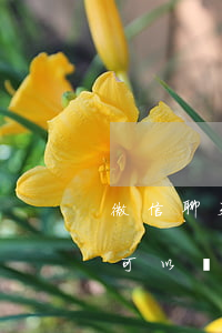 微信聊天截圖可以偽造嗎(微信聊天記錄截圖可以偽造嗎)