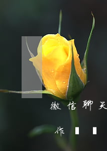 微信聊天欠賬能起訴嗎-微信聊天欠款可以作為證據(jù)嗎