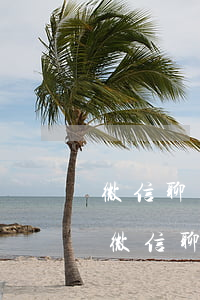 微信聊天記錄可以做為訴訟證據(jù)嗎(微信聊天能做起訴證據(jù)嗎)
