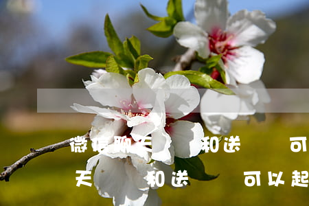 微信聊天記錄和送貨單可以起訴嗎-微信聊天記錄和送貨單可以起訴嗎有效嗎
