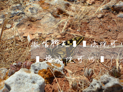 微信聊天記錄法院可以調(diào)取嗎(離婚法院可以調(diào)取微信記錄)