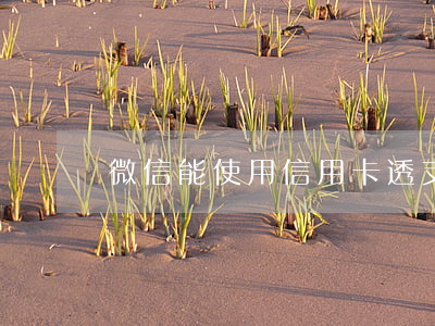 微信能使用信用卡透支么