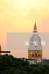 微信能查逾期嗎嗎(逾期多久可以查出來)