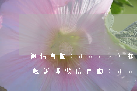 微信自動(dòng)扣費(fèi)可以起訴嗎(微信自動(dòng)扣費(fèi)錢能退嗎)