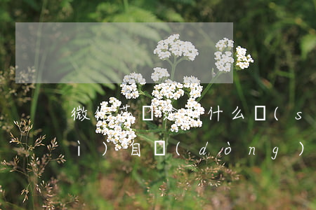 微信花唄逾期什么時(shí)候會(huì)自動(dòng)扣款-微信花唄逾期什么時(shí)候會(huì)自動(dòng)扣款呢