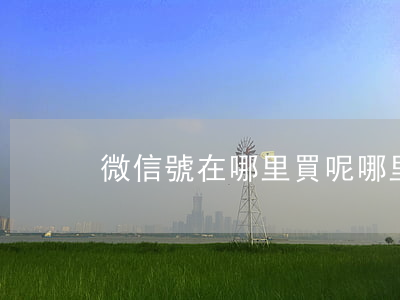 微信號在哪里買呢(哪里可以買微信號啊)